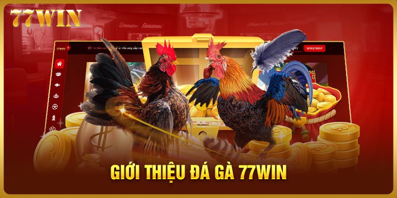 Giới thiệu đá gà 77WIN