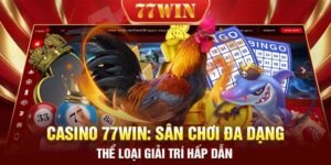 Casino 77WIN: Sân chơi đa dạng thể loại giải trí hấp dẫn