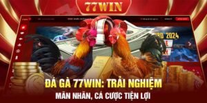 Đá gà 77WIN Trải nghiệm mãn nhãn, cá cược tiện lợi